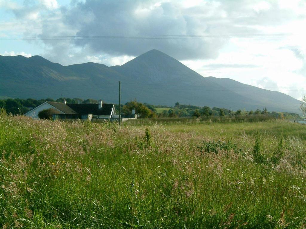 Cillcoman Lodge B&B Westport Exterior photo